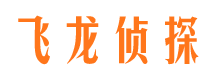 迎江市调查公司